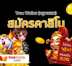 สมัครคาสิโน true wallet